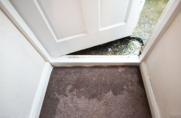 Cost of Wet Carpet Restoration in Edmond