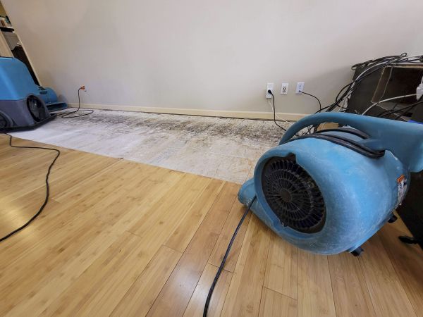 Cost of Water Damage Mitigation in Edmond