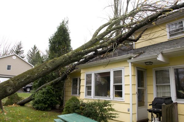 Cost of Hurricane Damage Repair in Edmond